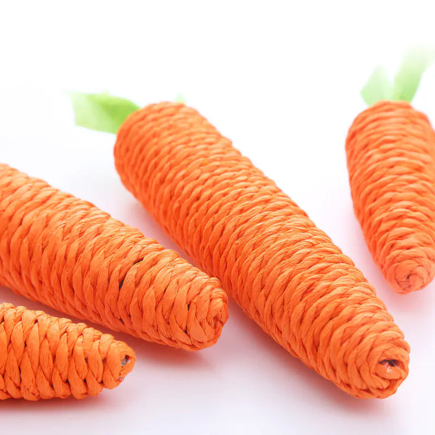 Jingle Jangle Carrot Toy