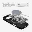 Coastal Curiosities | Seashell Sketch iPhone Case