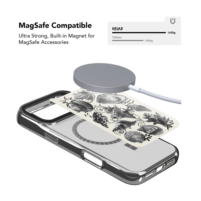 Coastal Curiosities | Seashell Sketch iPhone Case