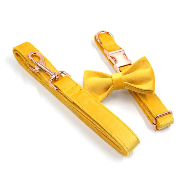 Golden Velvet Canine Collar and Bow Ensemble