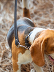 Leather Dog Leash