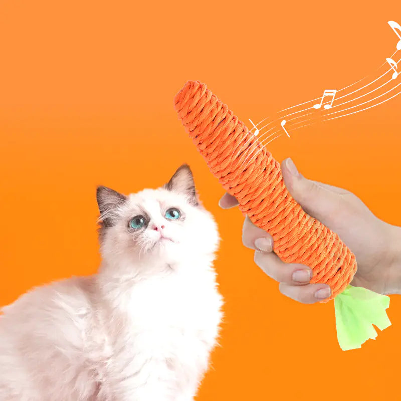 Jingle Jangle Carrot Toy