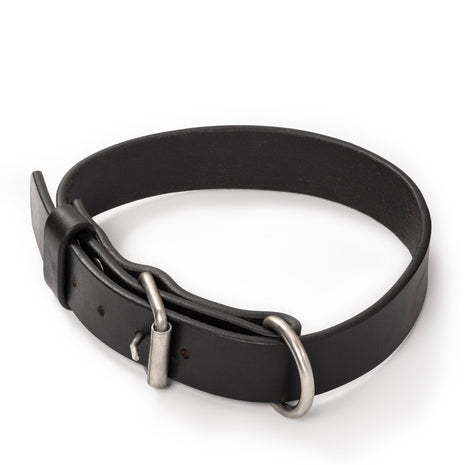 Agitation Leather Dog Collar