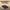 Black external hard drive on a wooden background with text 'CONVENIENTLY PORTABLE'.