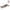 ComSaf Extendable Cat Scratcher 26.75" Duckboard